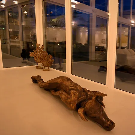 Insula Alba & (adults Only)